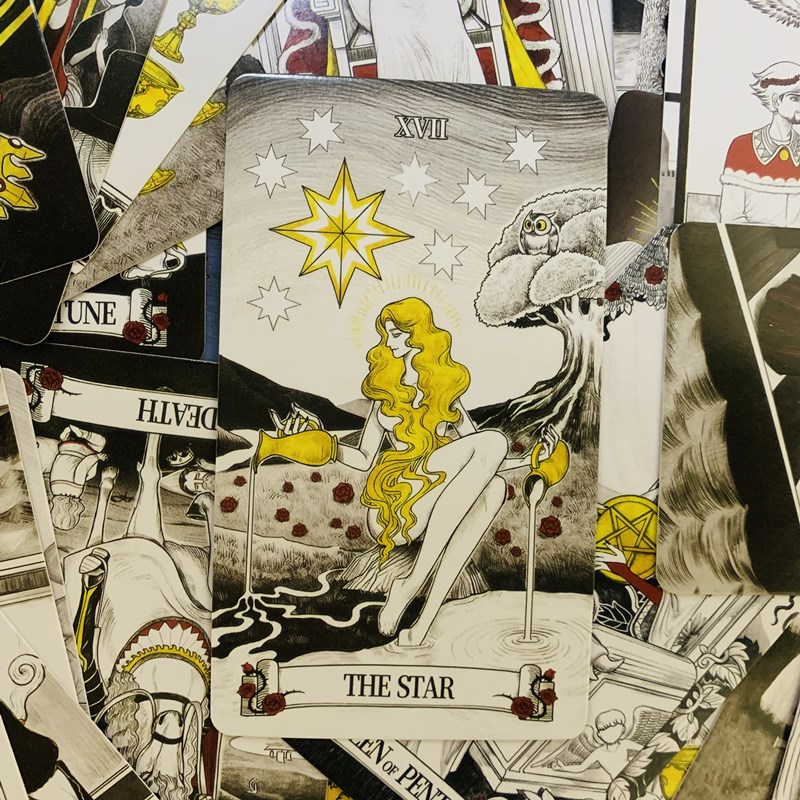 سر مرآة بطاقات التارو 80 سطح ا - مراجعة Board Game Of Life وسعره